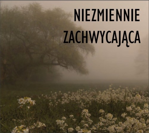 Niezmienie zachwycająca - okładka.jpg
